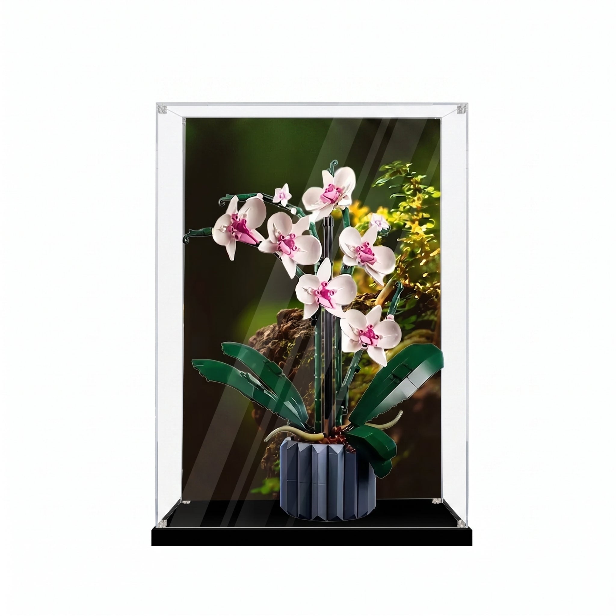 Dustproof HD Acrylic Display Case with UV Protection for LEGO Botanical Collection Orchid 10311